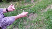 Hände halten eine Wünschelrute über einer Wiese