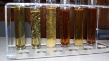 Reagenzglasständer mit Urinproben unterschiedlicher Färbung